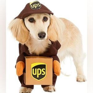 UPS Pal Dog Halloween Costume | size S 📦